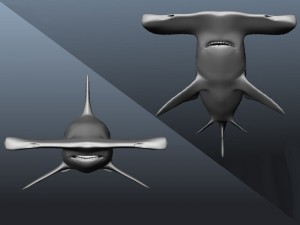 hammerhead modelling Modello 3D