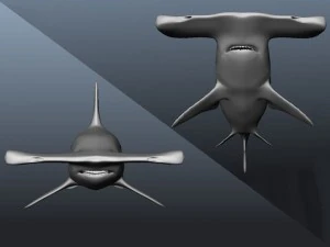 hammerhead modelling 3D Model