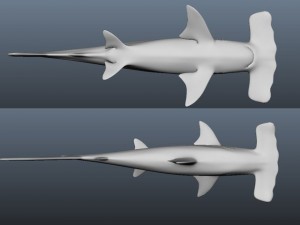 hammerhead modelling Modello 3D