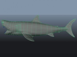 great white shark 3D 模型