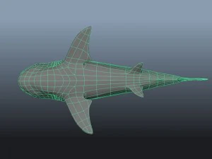great white shark 3D Model