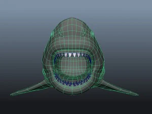 great white shark 3D Model