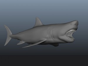 great white shark 3D 模型