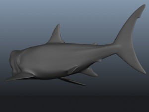 great white shark 3D 模型