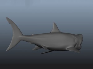 great white shark 3D 模型