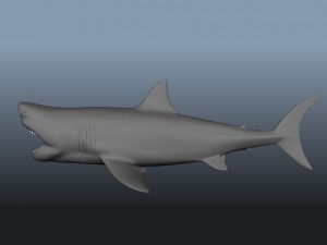 great white shark 3D 模型