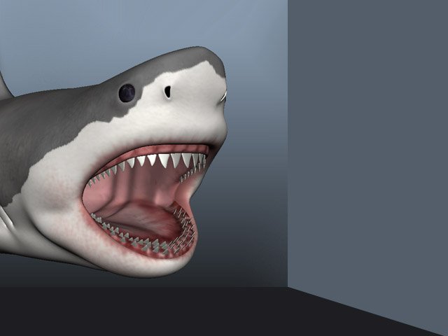 Shark 3Dモデル .c4d .max .obj .3ds .fbx .stl .blend 