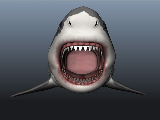 как сделать в 3 шарк. 3 д модель акула зомби. злая акула из мультика. кибер акула 3d. Rekin3d.