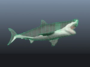 Shark 3Dモデル