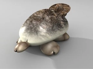 貝殻亀 3Dモデル