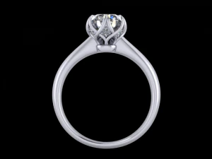 jewelry ring 3D Print Model