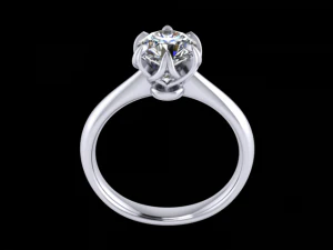 jewelry ring 3D Print Model