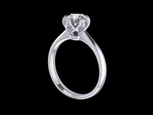 jewelry ring Modelo de impresión 3D