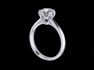 jewelry ring 3D Print Model