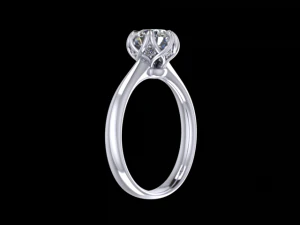 jewelry ring 3D Print Model