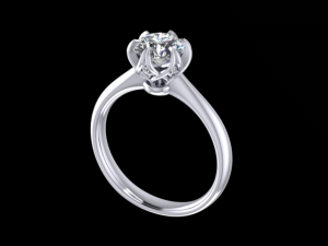 jewelry ring Modelo de impresión 3D