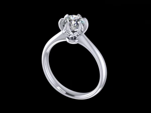 jewelry ring 3D Print Model