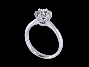 jewelry ring 3D Print Model