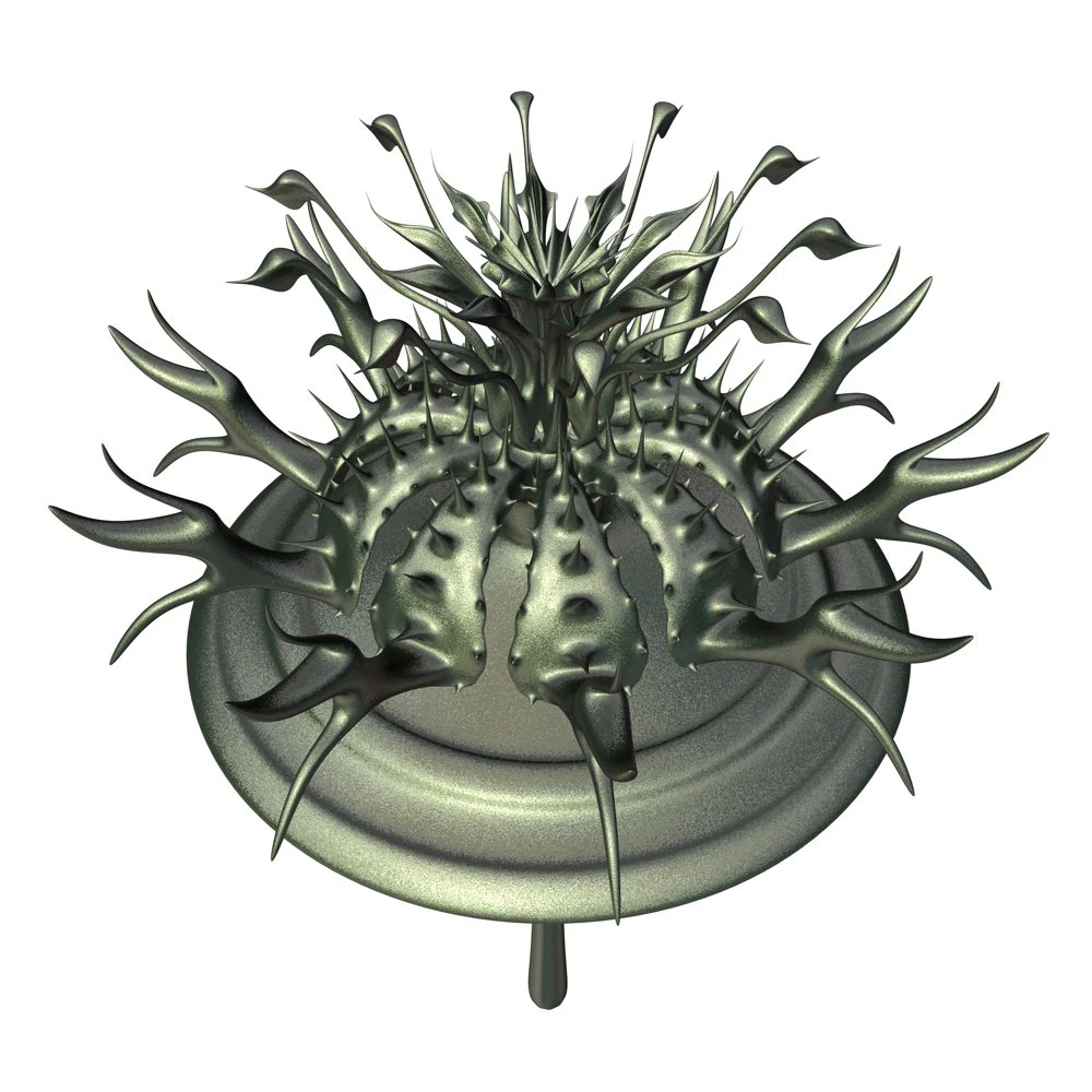 blossom 3D Model .c4d .max .obj .3ds .fbx .stl .blend 