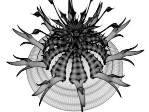 blossom 3D 모델