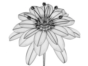 metal &ccedil;i&ccedil;ek 3D Model