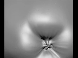 apple high resolution 3D Model