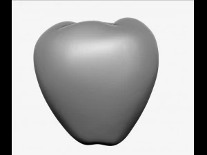 apple high resolution 3D Model