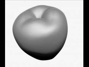 apple high resolution 3D Model