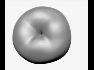 apple high resolution 3D Model