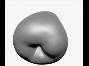 apple high resolution 3D Model