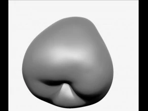 apple high resolution 3D Model