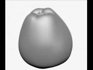 apple high resolution 3D Model