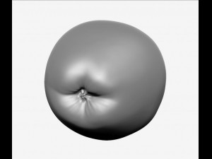 apple high resolution 3D-Modell
