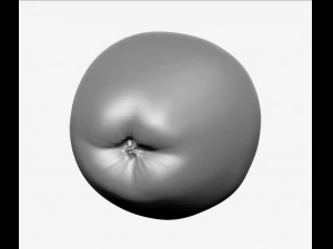 apple high resolution 3D Model