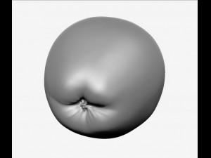 apple high resolution 3D-Modell