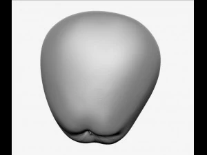 apple high resolution 3D Model