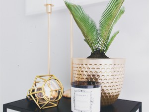 decorative set 3D Model