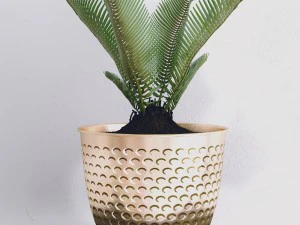 decorative set 3D Model