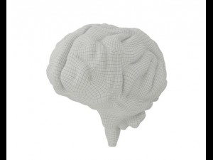 brain model Modello 3D