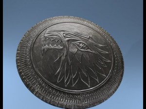 shield 3D Model