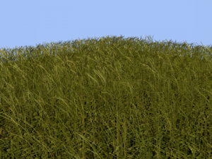 tall grass tile 3D 모델