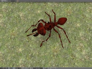 antz Modèle 3D
