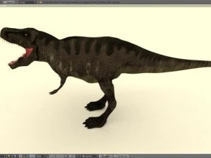 rex 3D Model