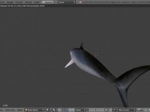 shark 3D Модель