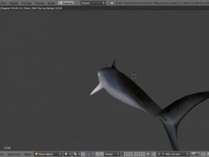サメ 3Dモデル
