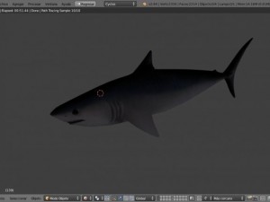 shark 3D Модель