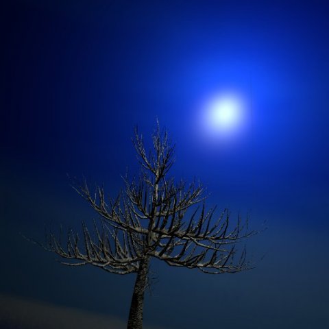 thorntree Model 3D .c4d .max .obj .3ds .fbx .stl .blend 