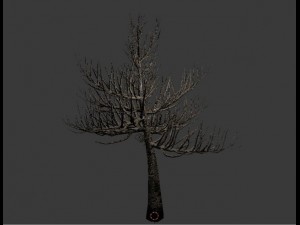 thorntree Model 3D