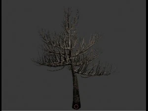 тернове дерево 3D Модель