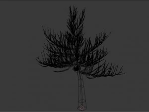 тернове дерево 3D Модель